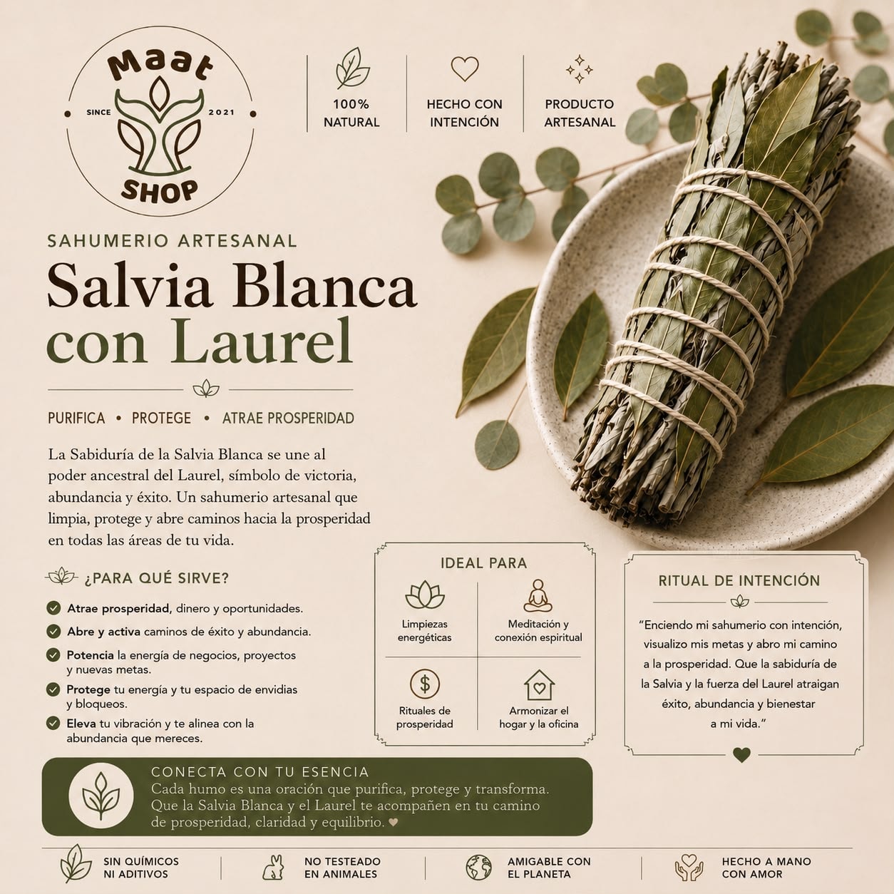 Salvia Con Laurel